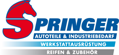 Logo_springer